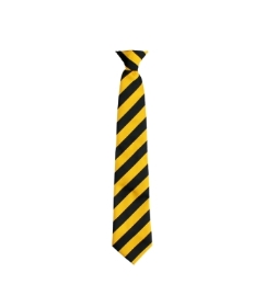 DItton Park Tie