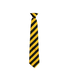 DItton Park Tie